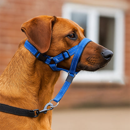 Muselière chien | Confort Respirant