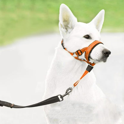 Muselière chien | Confort Respirant