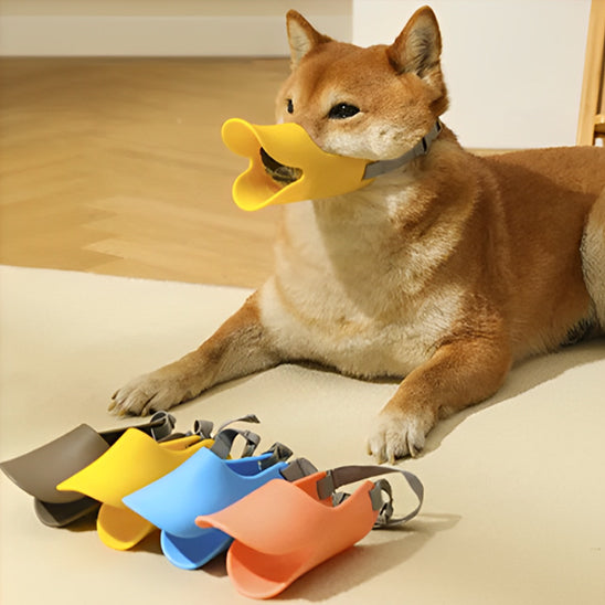 Muselière chien silicone 4 couleurs Shiba Inu