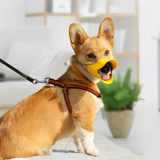 Muselière chien silicone jaune Corgi