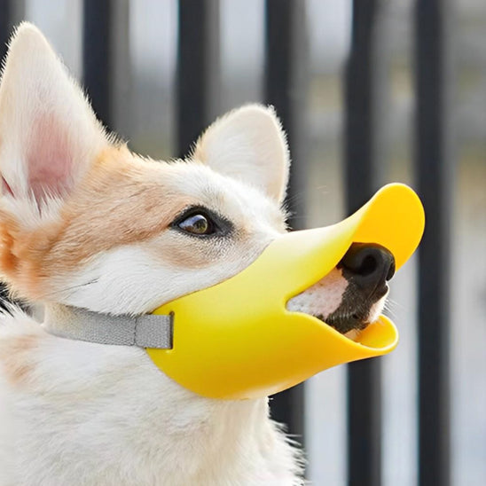 Muselière chien silicone jaune Husky