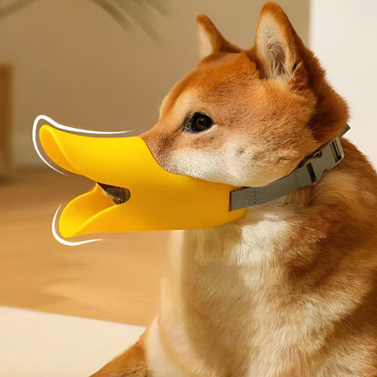 Muselière chien silicone jaune Shiba Inu
