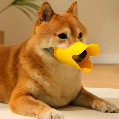 Muselière chien silicone jaune