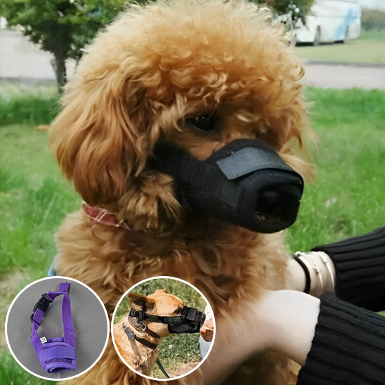 Muselière noire Caniche détails