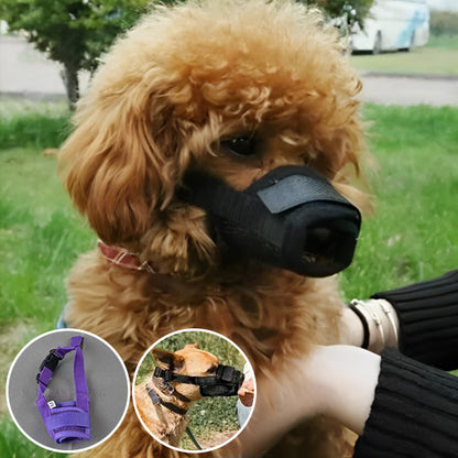 Muselière noire Caniche détails