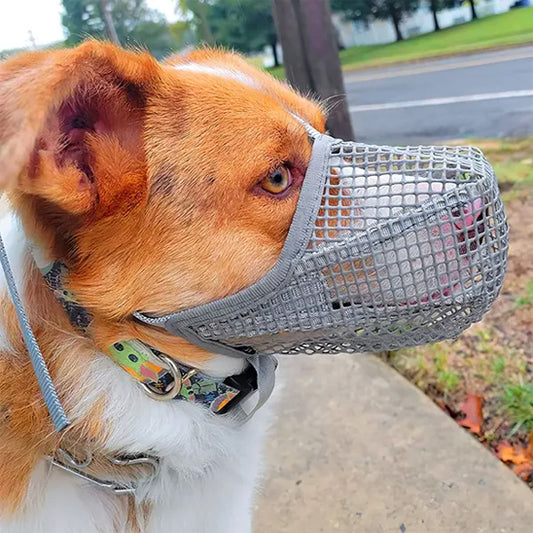Muselière pour chien maille grise