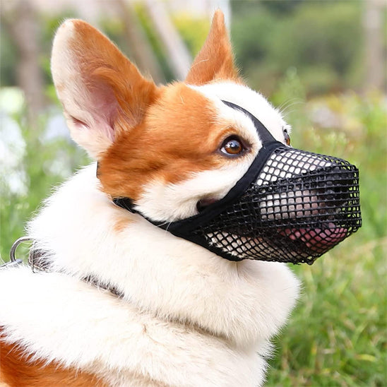 Muselière pour chien maille noire Corgi