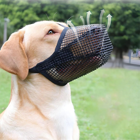Muselière pour chien maille noire Labrador
