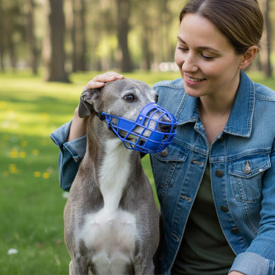 Muselière pour chien plastique bleu Lévrier