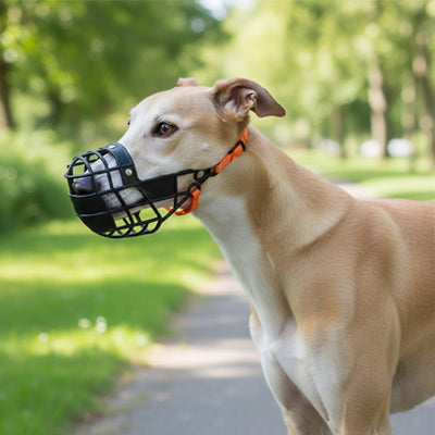 Muselière pour chien plastique noir Lévrier