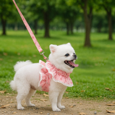 Harnais petit Chien | Confort léger